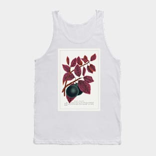 Prunus Pissardi Tree lithograph (1900) Tank Top